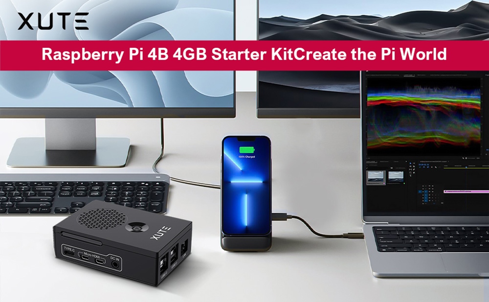Raspberry Pi 4 Model B 4GB RAM Starter Kit with 128GB Micro SD Card ...