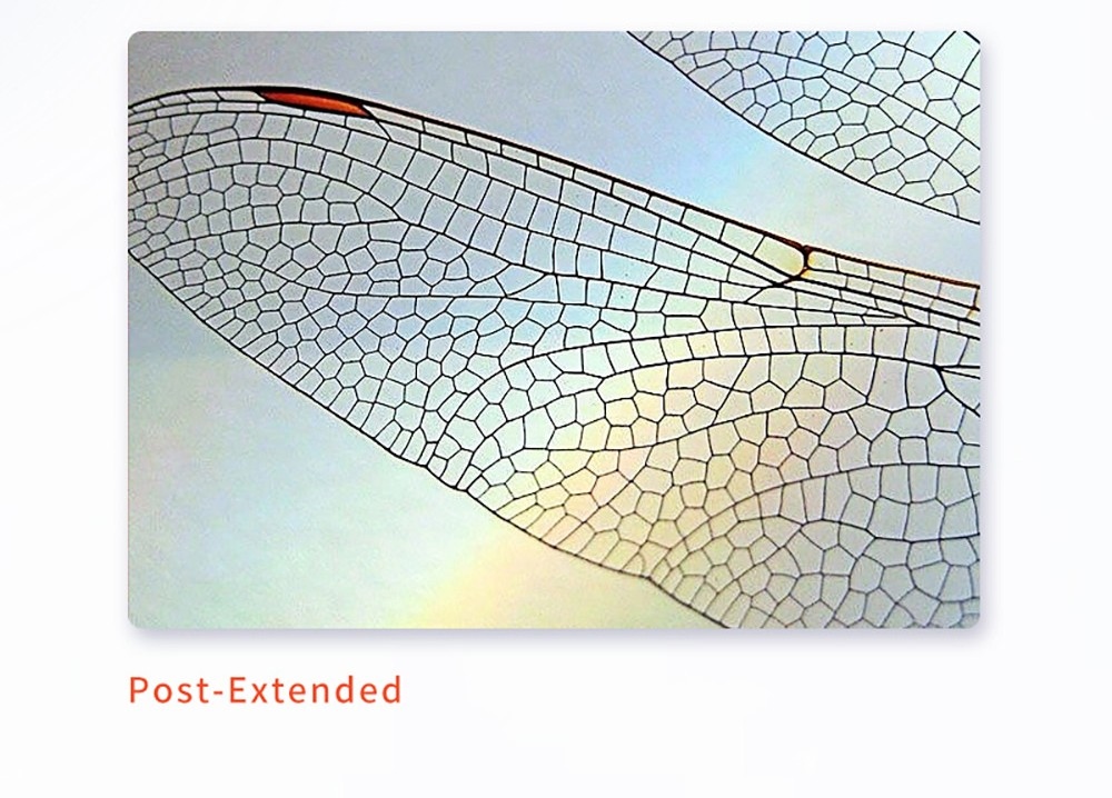 HAYEAR HY-800C 8MP 4K IMX Microscope Camera, UVC USB Measurement Electronic Digital Eyepiece for Repair PCB Soldering Astronomy