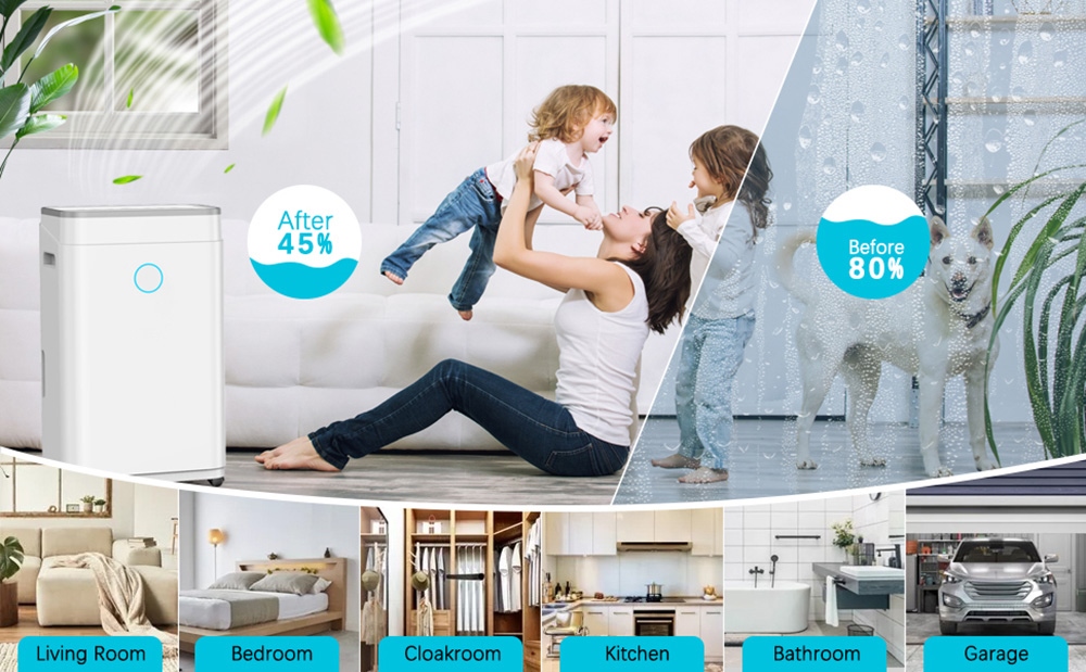 LUKO OL20-D030A Portable Home Dehumidifier, 20L Dehumidify Capacity, 6.5L Water Tank, Auto/Manual Drainage, 24-Hour Timer, Auto Defrost, Low Noise