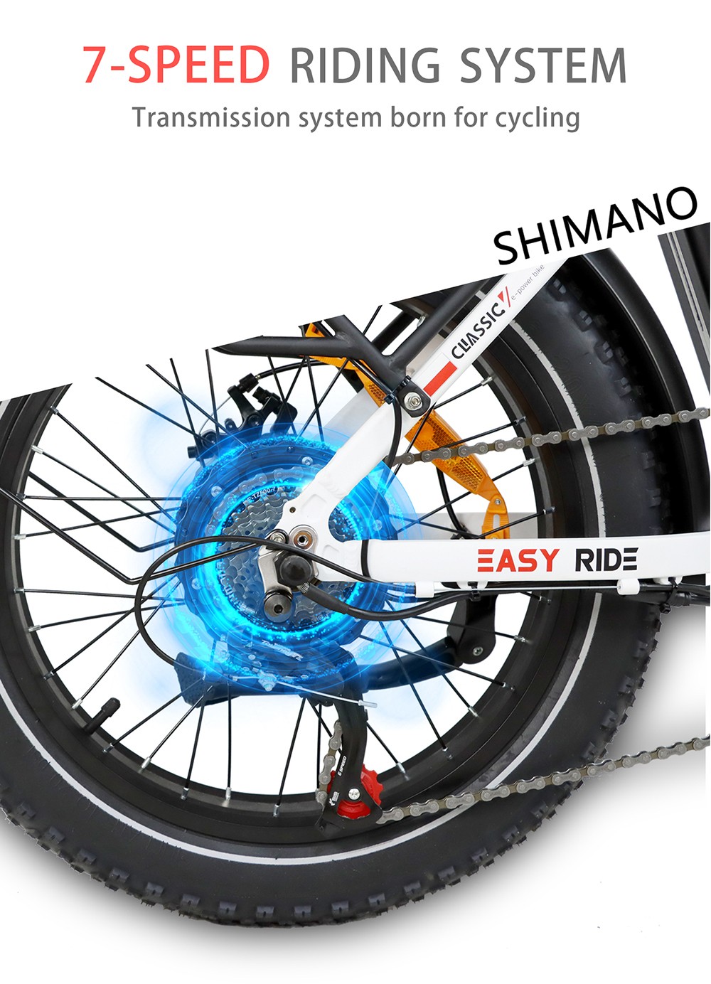 BAOLUJIE DZ2030 Electric Bike, 20*4.0inch Tire 500W Motor 48V 13Ah Removable Battery 40km/h Max Speed 35-45km Range SHIMANO 7-speed - Black