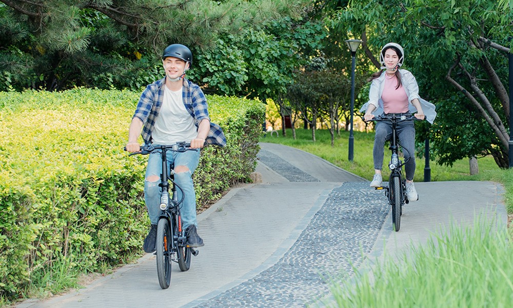 5TH WHEEL Thunder 2 Electric Bike, 250W Motor, 36V 10.4Ah Battery, 20-inch Rubber Tires, 25km/h Max Speed, 80km Max Range, Shimano 6-speed, Disc Brakes