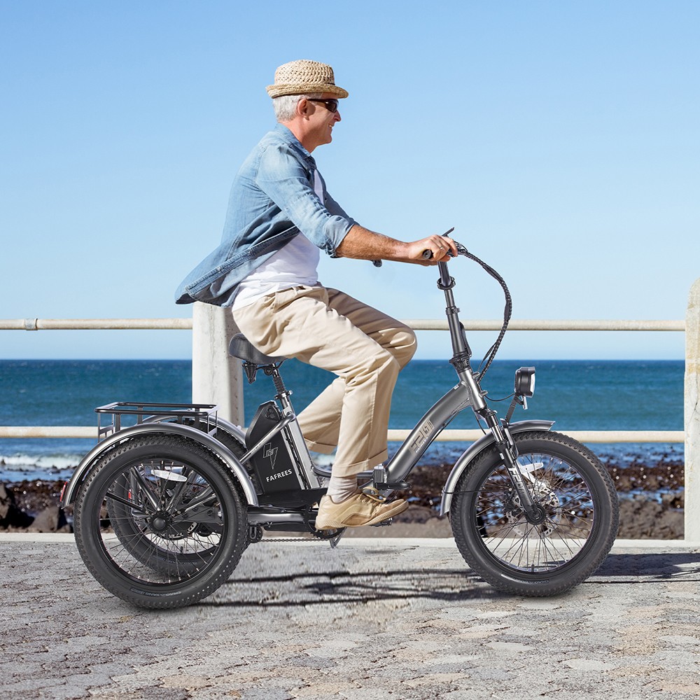 Promotion > Tricycle électrique FAFREES F20 Mate, moteur sans balais ...