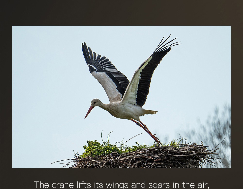 ZLL SG109 Pro RC Drone Dual 4K Camera - 1 Battery