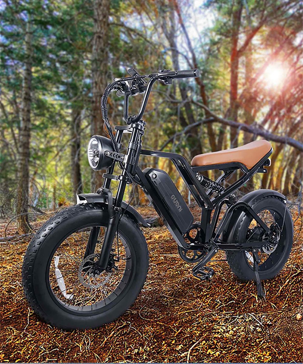 EUENI FXH009 Pro Electric Bike, 20-inch Tire, 750W Motor, 48V 15Ah Battery, 45km/h Max Speed, 96km Range, Shimano 7-speed Gear - Black