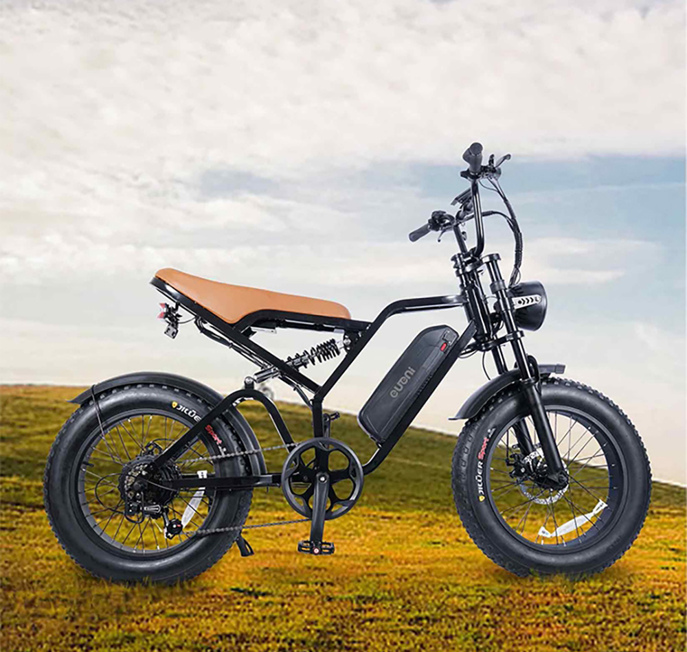 EUENI FXH009 Pro Electric Bike, 20-inch Tire, 750W Motor, 48V 15Ah Battery, 45km/h Max Speed, 96km Range, Shimano 7-speed Gear - Black