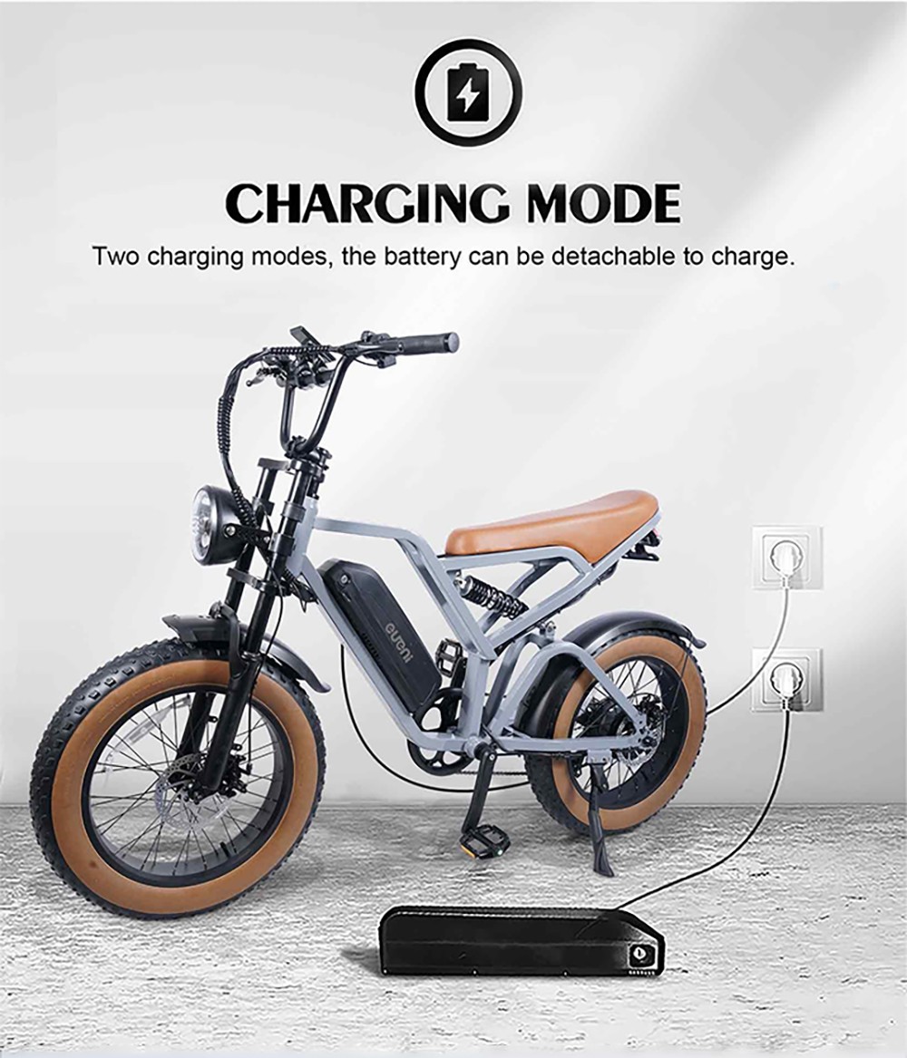 EUENI FXH009 Pro Electric Bike, 20-inch Tire, 750W Motor, 48V 15Ah Battery, 45km/h Max Speed, 96km Range, Shimano 7-speed Gear - Black