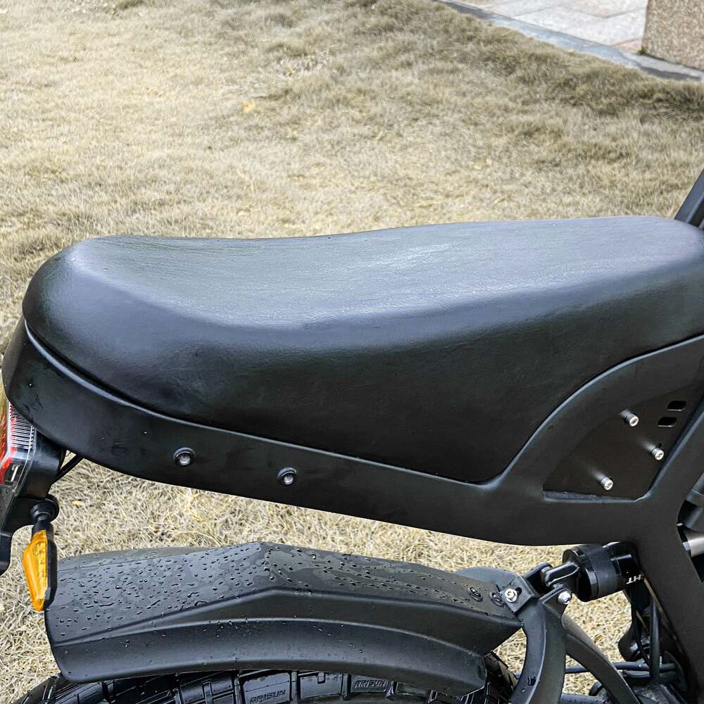 COSWHEEL GT20 Elektrisches Gel&auml;ndefahrrad, 20 x 4,0 Zoll Reifen, 750 W Motor, 45 km/h H&ouml;chstgeschwindigkeit, 25 Ah Akku f&uuml;r 140-160 km Reichweite - Schwarz