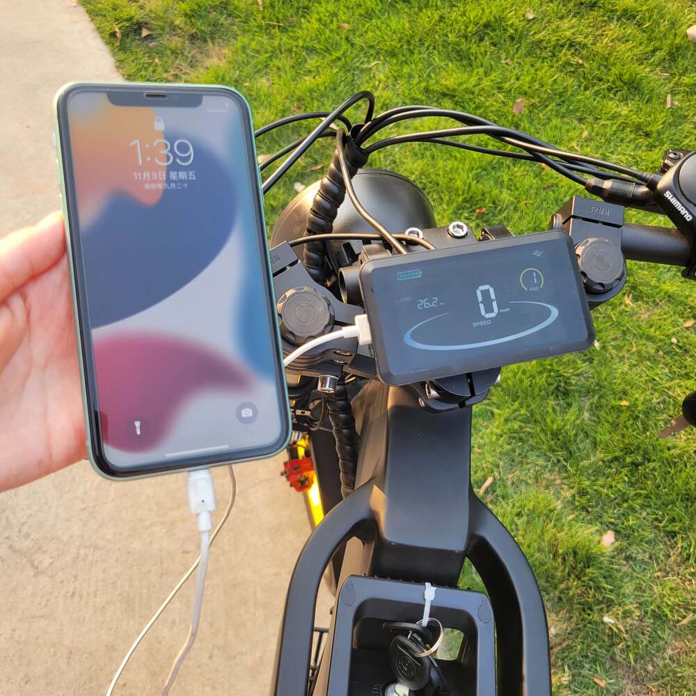 COSWHEEL GT20 Elektrisches Gel&auml;ndefahrrad, 20 x 4,0 Zoll Reifen, 750 W Motor, 45 km/h H&ouml;chstgeschwindigkeit, 25 Ah Akku f&uuml;r 140-160 km Reichweite - Schwarz