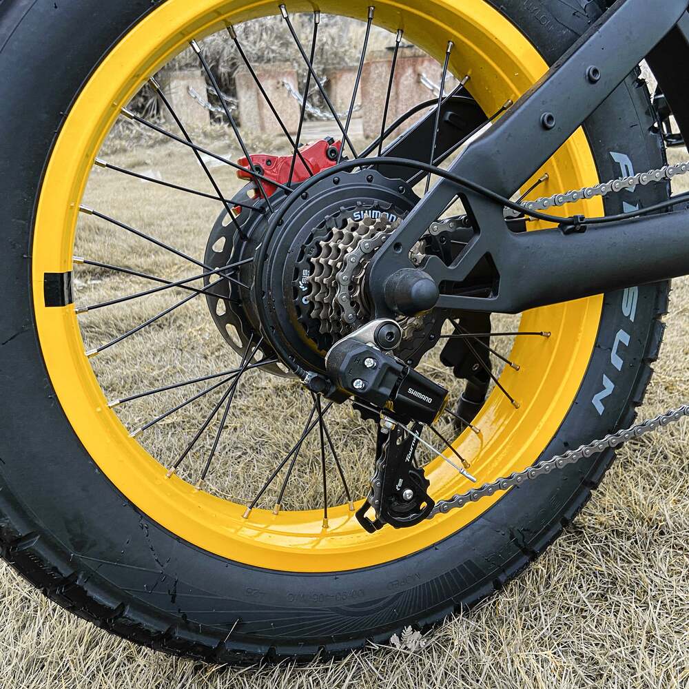 COSWHEEL GT20 Elektrisches Gel&auml;ndefahrrad, 20 x 4,0 Zoll Reifen, 750 W Motor, 45 km/h H&ouml;chstgeschwindigkeit, 25 Ah Akku f&uuml;r 140-160 km Reichweite - Schwarz