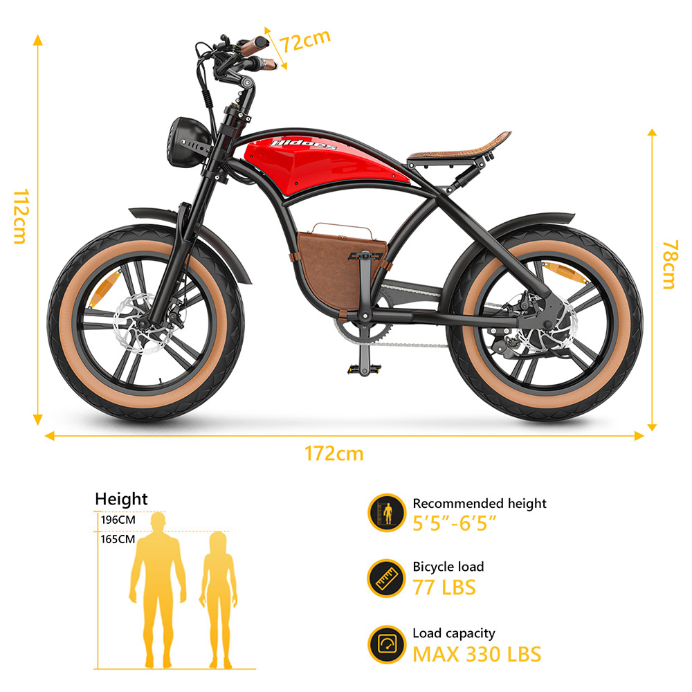 Hidoes B10 Electric Bike, 1000W Motor, 48V 13Ah Battery, 20 x4