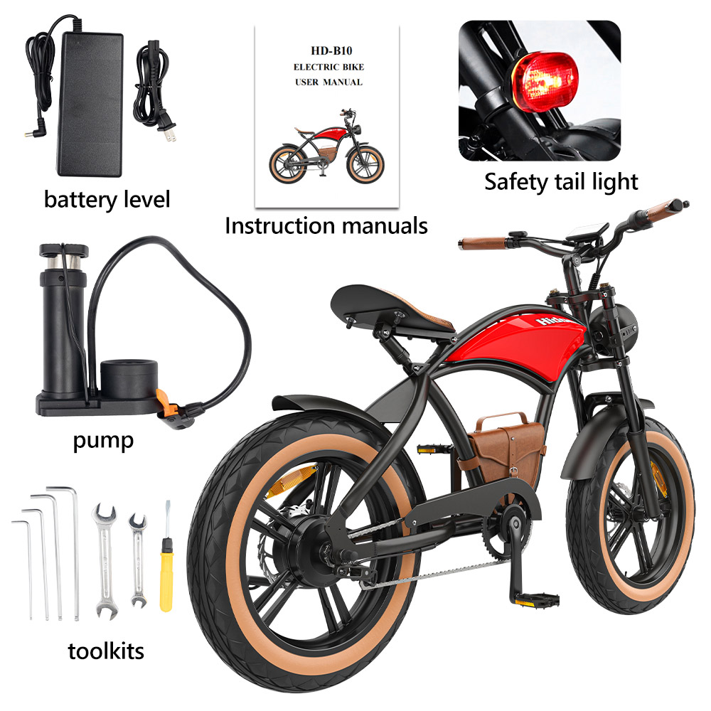 Hidoes B10 Electric Bike, 1000W Motor, 48V 13Ah Battery, 20 x4