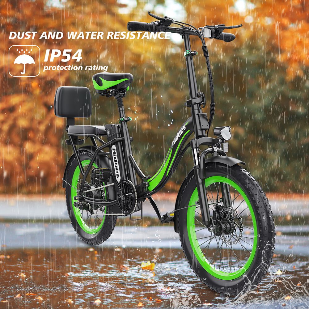 Hidoes C1 Electric Bike with Rear Seat, 750W Motor, 48V 13Ah Battery, 20*3-inch Fat Tire, 40km/h Max Speed, 70km Range, Front & Rear Disc Brake