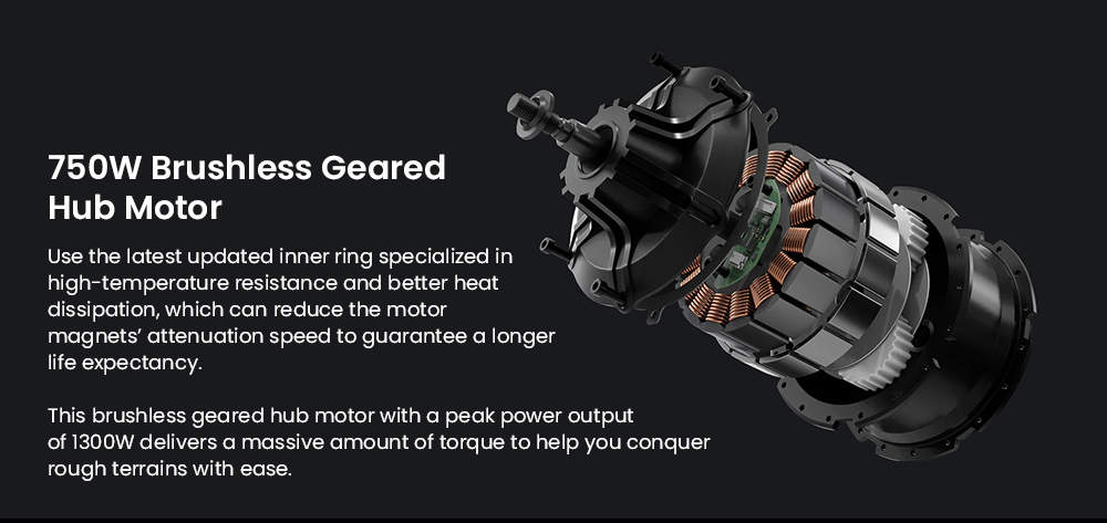 G-FORCE RS ST Elektrobicykel, 750W motor, 48V 15.6Ah batéria, 20*4-palcové tukové pneumatiky, max. rýchlosť 50 km/h, max. dojazd 96 km, 7-rýchlostná prevodovka Shimano, hydraulické kotúčové brzdy, systém zadného odpruženia, nastaviteľná predná vidlica - biely