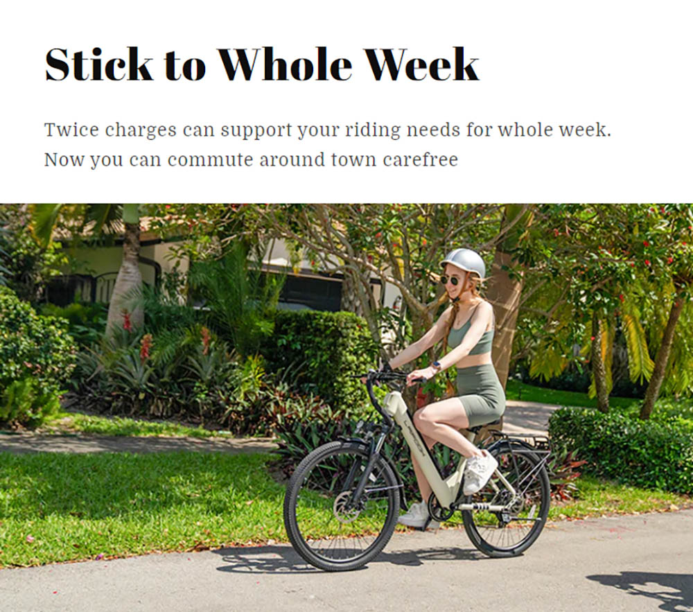 LAIFOOK Seeker S Elektrofahrrad, 250-W-Motor, 36-V-9-Ah-Akku, 26-Zoll-Reifen, 25 km/h H&ouml;chstgeschwindigkeit, 60 km Reichweite, Vorderradgabelfederung, Scheibenbremsen, SHIMANO 7-Gang, LCD-Display &ndash; Beige