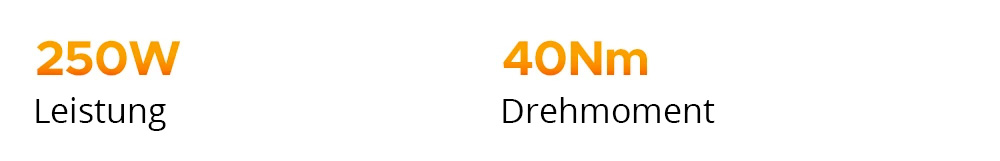 ENGWE P1 Faltbares Elektrofahrrad 20-Zoll-Reifen 250W b&uuml;rstenloser Motor 36V 13Ah Akku 25km/h H&ouml;chstgeschwindigkeit