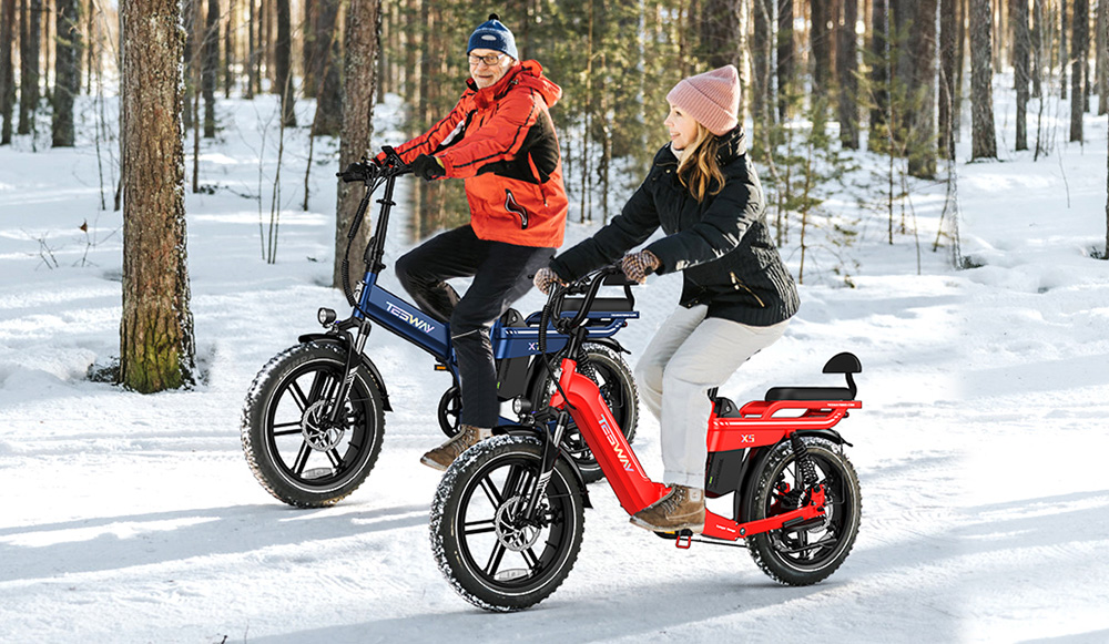 TESWAY X5 Electric Bike, 750W Motor, 48V 25Ah batéria, 20*4.0-palcové pneumatiky, max. rýchlosť 45 km/h, dojazd 130 km, mechanické kotúčové brzdy, plné odpruženie, 7-rýchlostný prevod Shimano - čierny