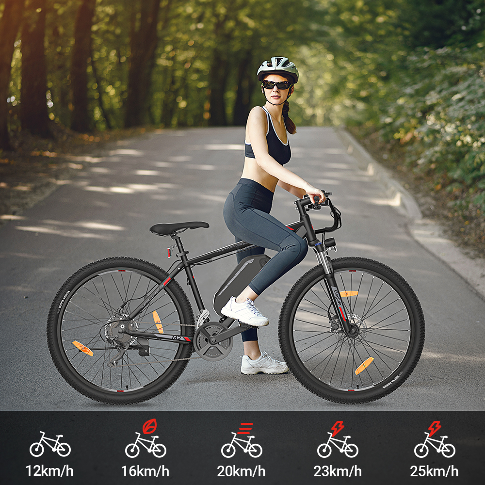 Eleglide M2 27,5'' x 2,35'' Elektro-Mountainbike 36V 15,6AH 250W