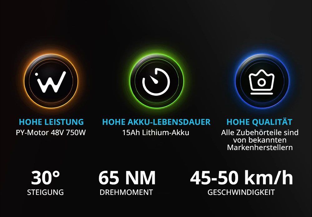 DUOTTS C29 Elektrofahrrad, 750W, Mountainbike, 2x48V, 15Ah Akkus, 50 km Reichweite, 50 km/h Höchstgeschwindigkeit, Shimano 21-Gang-Getriebe