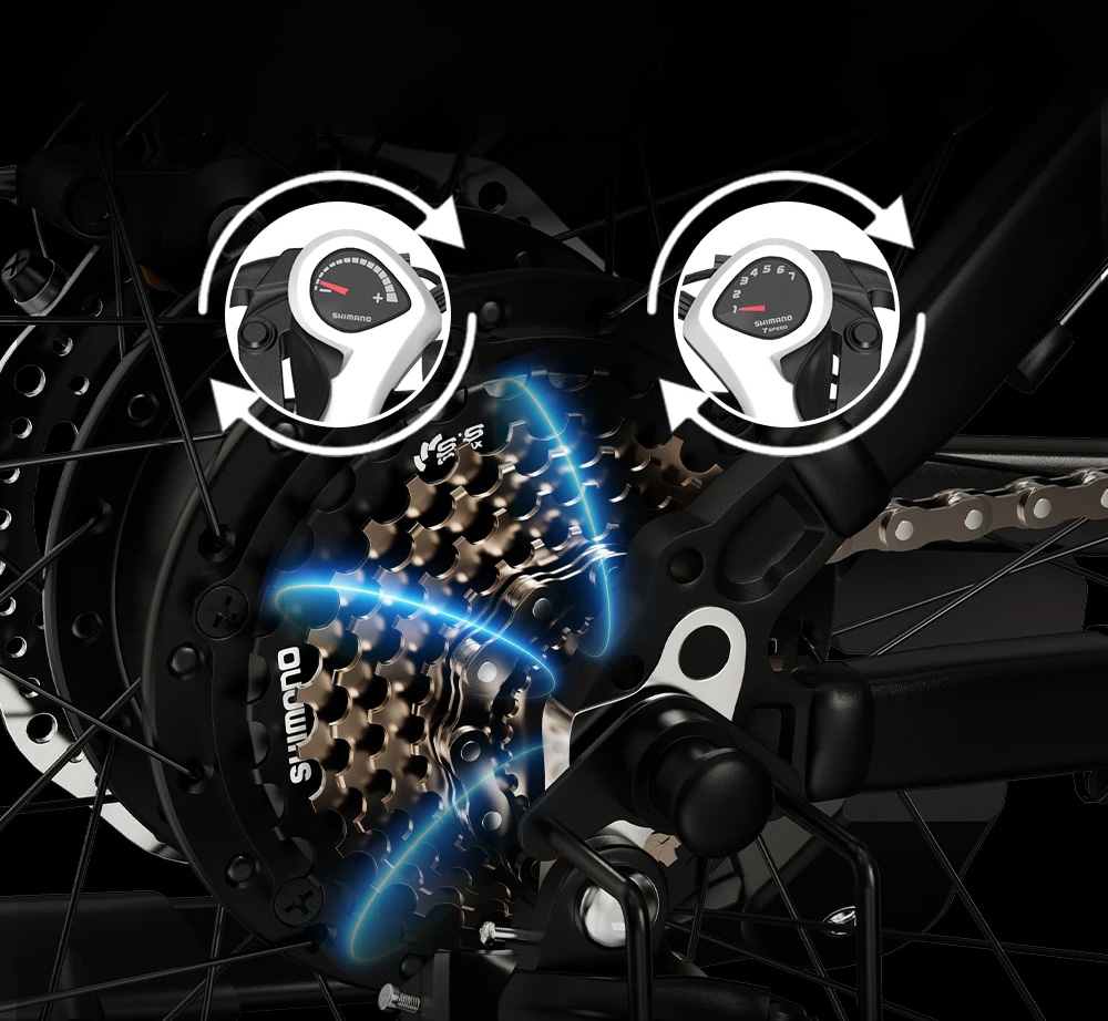 DUOTTS C29 Elektrofahrrad, 750W, Mountainbike, 2x48V, 15Ah Akkus, 50 km Reichweite, 50 km/h Höchstgeschwindigkeit, Shimano 21-Gang-Getriebe