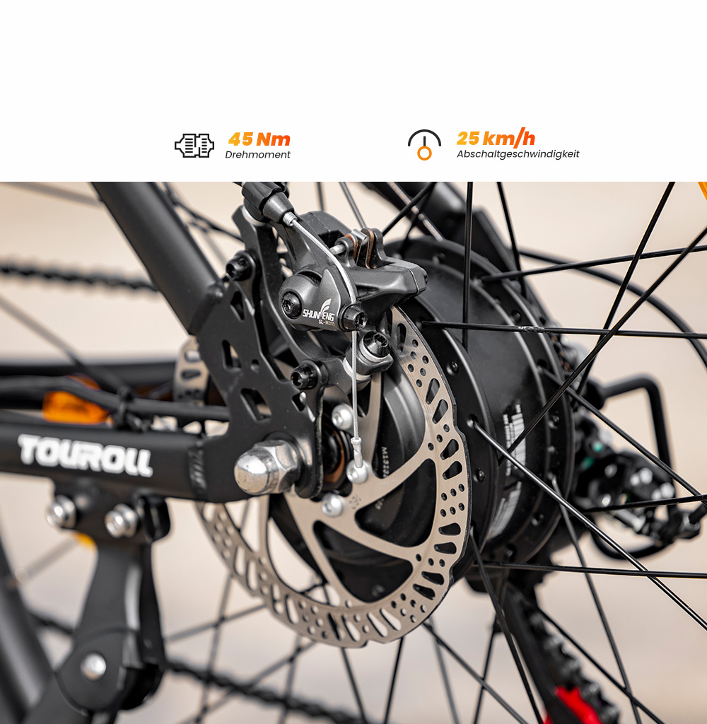 Touroll U1 Elektrofahrrad 29 MTB mit 250W Motor, 13Ah herausnehmbarer Lithium-Ionen-Akku, 65KM max. Fahrtstrecke, 29x2,25'' CST Gel&auml;ndereifen, 21-Gang Shimano Schaltung