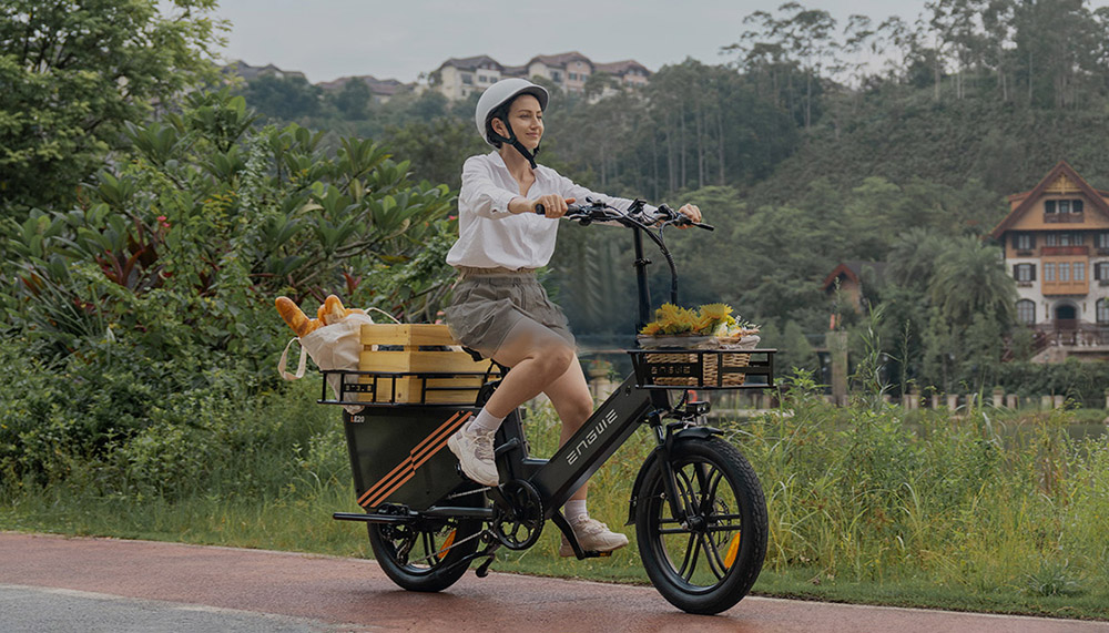 ENGWE LE20 Cargo Electric Bike, 250W motor so stredovým pohonom, senzor krútiaceho momentu, 48V 19,2Ah batéria, 20x3.0-palcové pneumatiky, max. rýchlosť 25 km/h, dojazd 180 km, hydraulické kotúčové brzdy, predné odpruženie, 7-stupňová prevodovka SHIMANO, nosnosť 200 kg - modrá