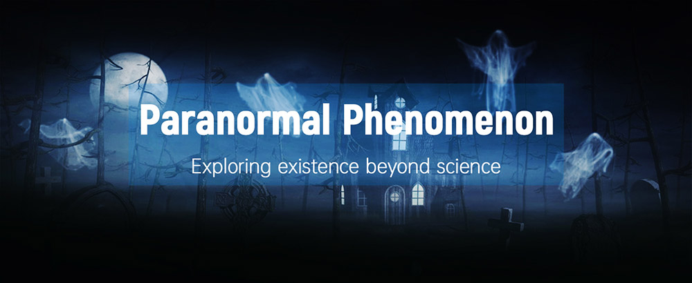 ERICKHILL RT-100 EMF Meter, Hand-held Electromagnetic Field Radiation Detector