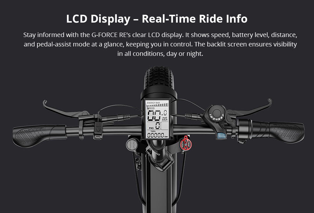 G-FORCE RE Elektrofahrrad, 250-W-Motor, 48-V-15,6-Ah-Akku, 20 x 4 Zoll gro&szlig;e Fat-Reifen, 25 km/h H&ouml;chstgeschwindigkeit, 80 km Reichweite, hydraulische Scheibenbremsen, Doppelfederung, LCD-Display &ndash; Schwarz