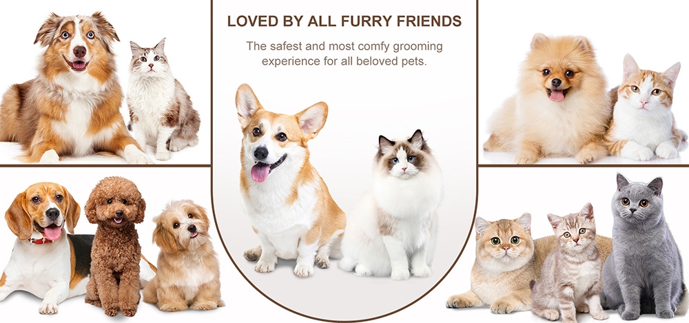 Refurbished JIGOO P300 Pet Grooming Vacuum Kit, 11-in-1 with 4L Dust Cup