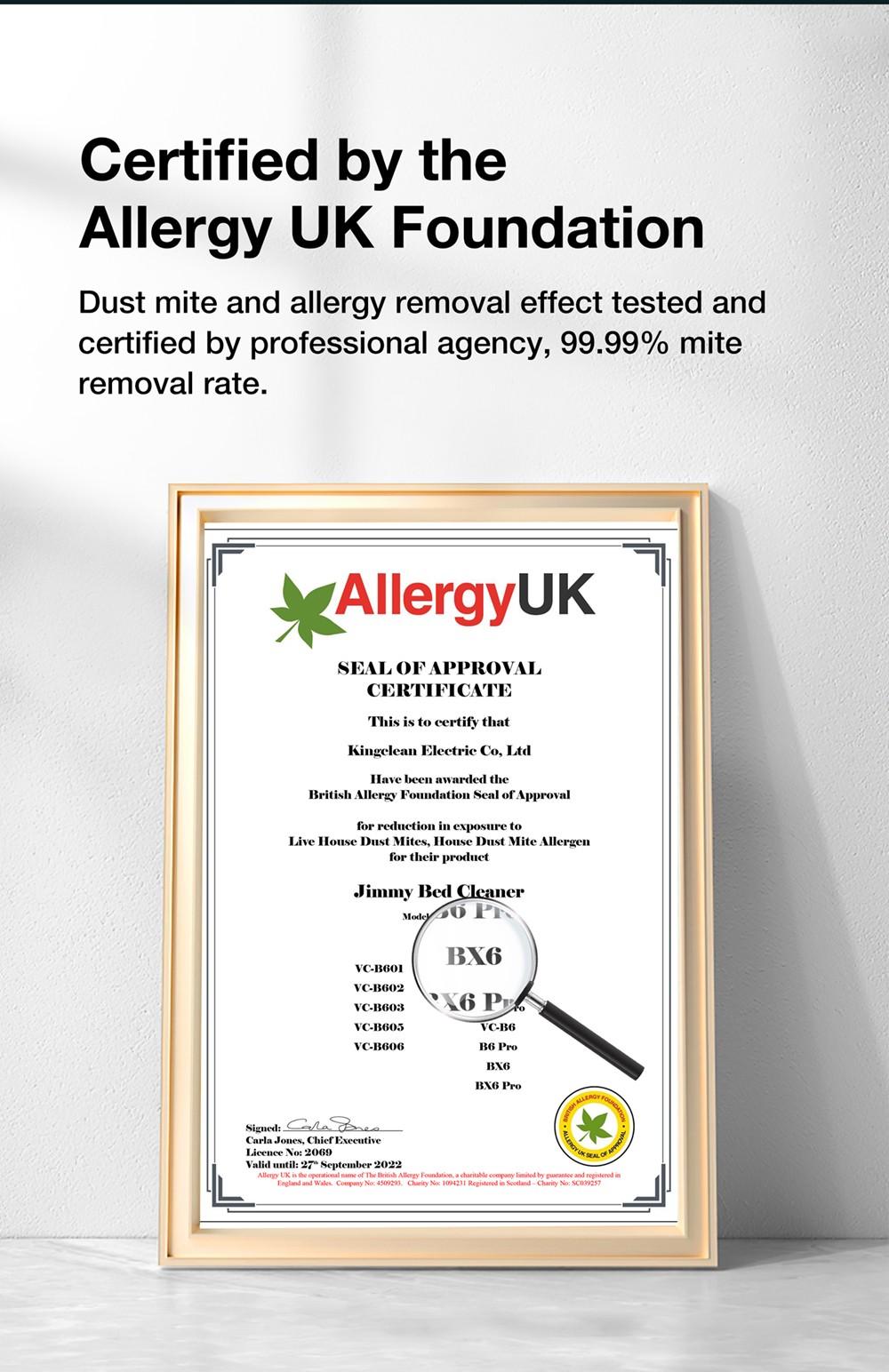 Jimmy BX6 Handheld Anti-Mite Vacuum Cleaner, 600W, 240mm Widened Suction Port, UV Lamp and Ultrasonic Technology - Blue