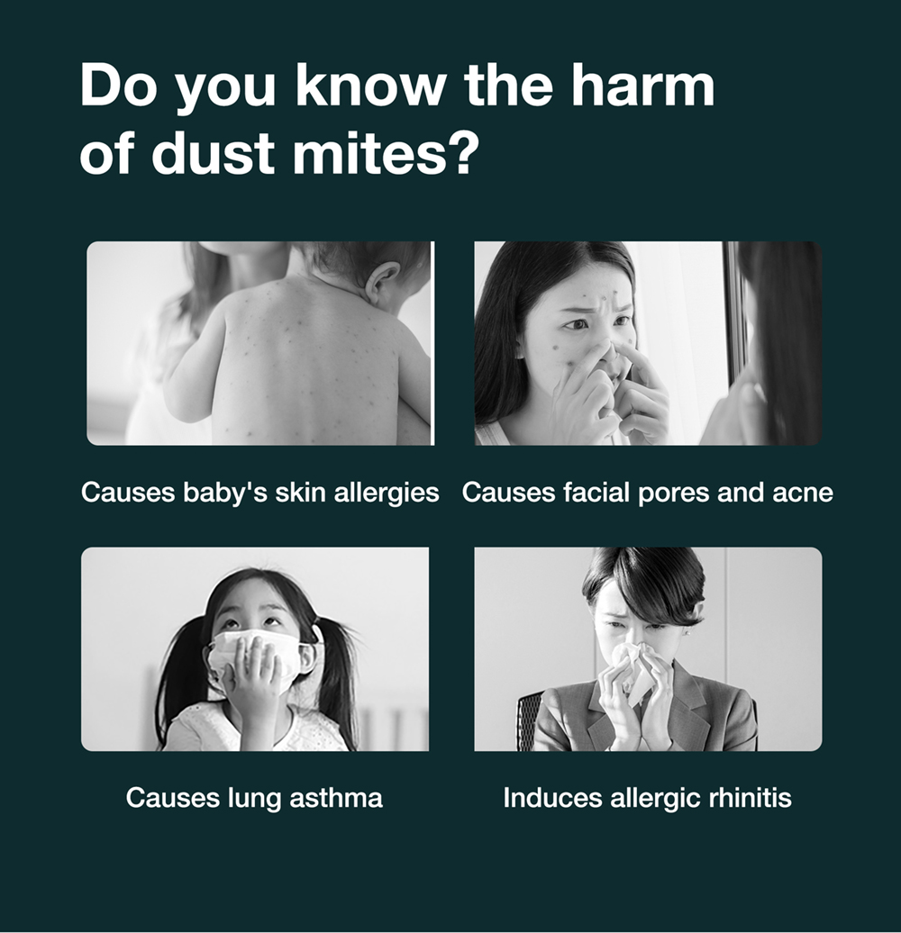 Jimmy BX6 Handheld Anti-Mite Vacuum Cleaner, 600W, 240mm Widened Suction Port, UV Lamp and Ultrasonic Technology - Blue