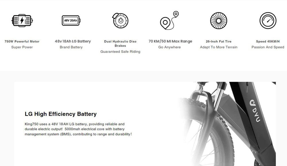DYU King 750 Mountain E-Bike 26*4.0 Inch Fat Tires 48V 750W Brushless High-Speed Motor 18Ah LG Battery for 70km Range 45km/h Max Speed 150KG Max Load