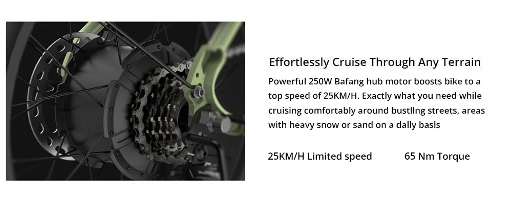 ESKUTE Star Folding Electric Bike 20*4.0 inch Fat Tire 250W Motor 25KM/H Max Speed 36V 25Ah Battery 100km Range Shimano 7-Speed Gear Hydraulic Disc Brakes - Green