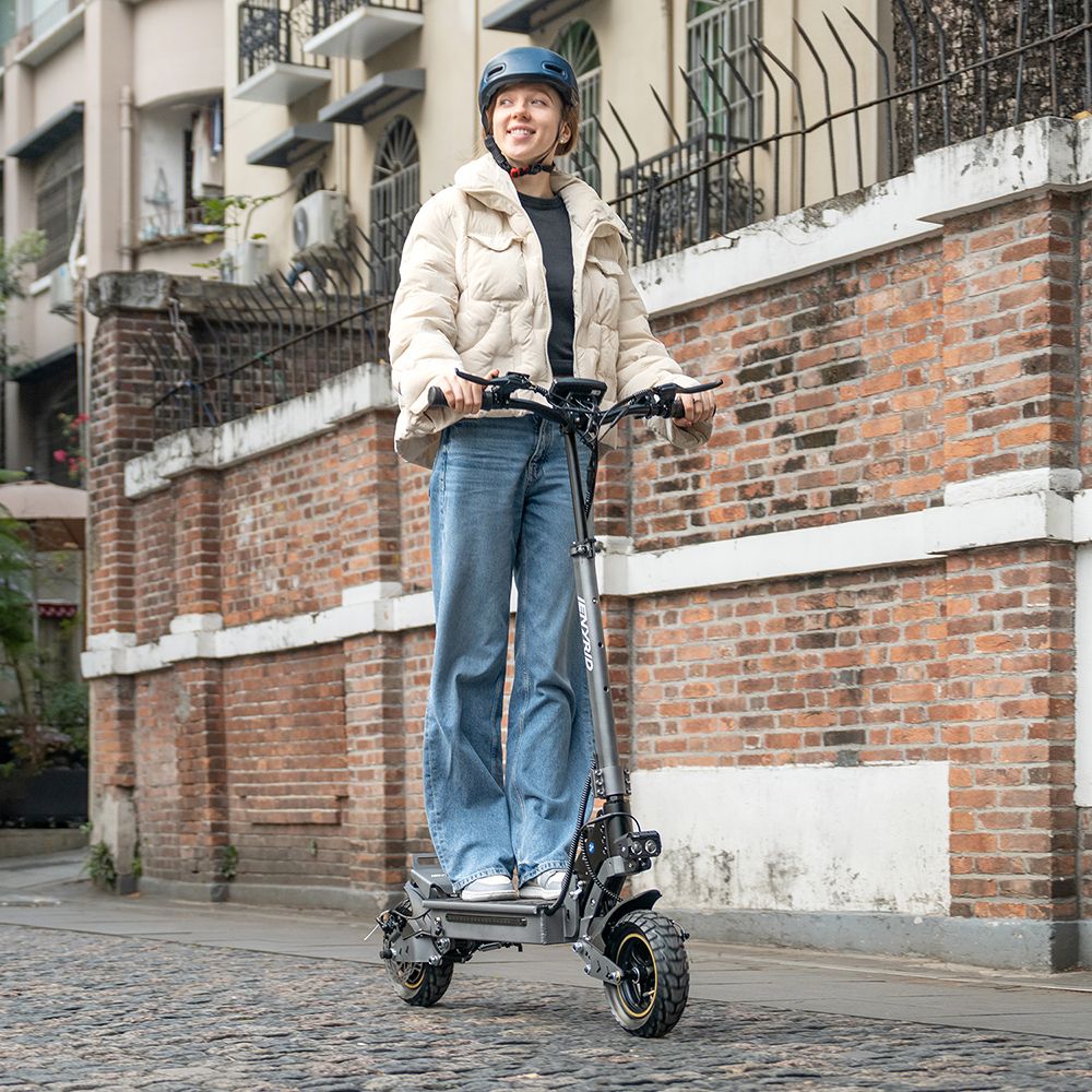 iENYRID S1 Electric Scooter, 250W motor, 48V 15Ah batéria, 10 palcové terénne pneumatiky, max. rýchlosť 25 km/h, dojazd 40 km, dvojkotúčové brzdy, predné & zadné hydraulické odpruženie, LCD displej