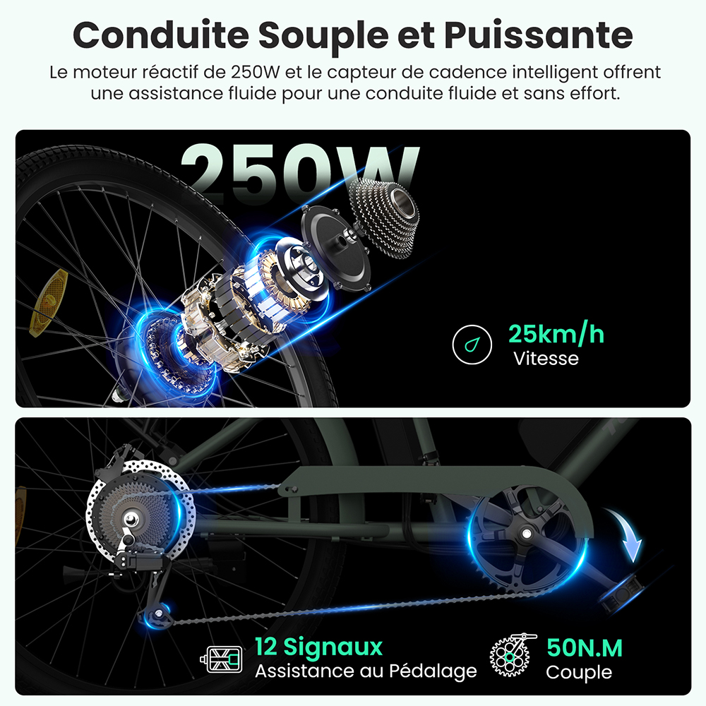 V&eacute;lo &eacute;lectrique Touroll B2, moteur 250 W, batterie 36 V 15,6 Ah, pneus 26 x 2,25 pouces, vitesse maximale 25 km/h, autonomie 100 km, frein &agrave; disque et frein &eacute;lectrique, Shimano 7 vitesses, &eacute;cran LED
