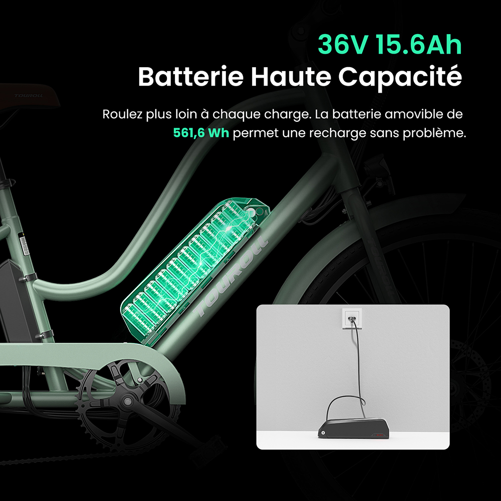V&eacute;lo &eacute;lectrique Touroll B2, moteur 250 W, batterie 36 V 15,6 Ah, pneus 26 x 2,25 pouces, vitesse maximale 25 km/h, autonomie 100 km, frein &agrave; disque et frein &eacute;lectrique, Shimano 7 vitesses, &eacute;cran LED