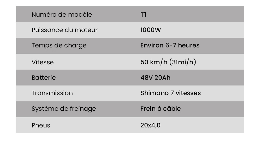 EKXBIKE T1 V&eacute;lo &eacute;lectrique, moteur 1000 W, batterie 48 V 20 Ah, pneu large 20 x 4 pouces, vitesse maximale 50 km/h, autonomie 100 km, freins &agrave; disque, amortisseur hydraulique, Shimano 7 vitesses