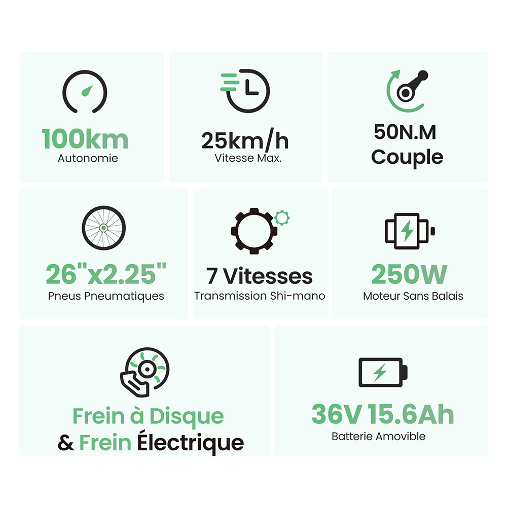 V&eacute;lo &eacute;lectrique Touroll B2, moteur 250 W, batterie 36 V 15,6 Ah, pneus 26 x 2,25 pouces, vitesse maximale 25 km/h, autonomie 100 km, frein &agrave; disque et frein &eacute;lectrique, Shimano 7 vitesses, &eacute;cran LED