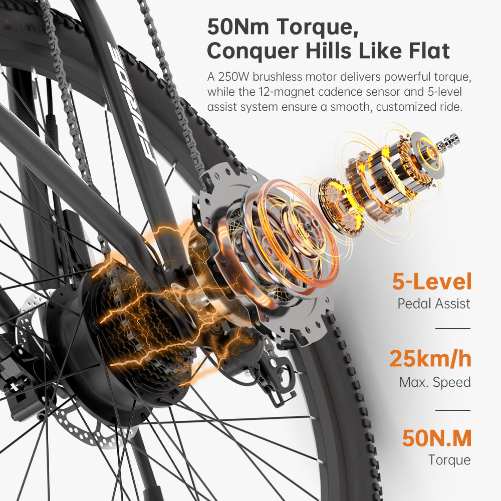 Foride Xtremer 2 Electric Bike, 250W Motor, 36V 15.6Ah Battery, 29**2.35 inch Tires, 25km/h Max Speed, 120km Max Range, Hydraulic Disc Brake, Lockable Suspension Fork, Shimano 24-speed