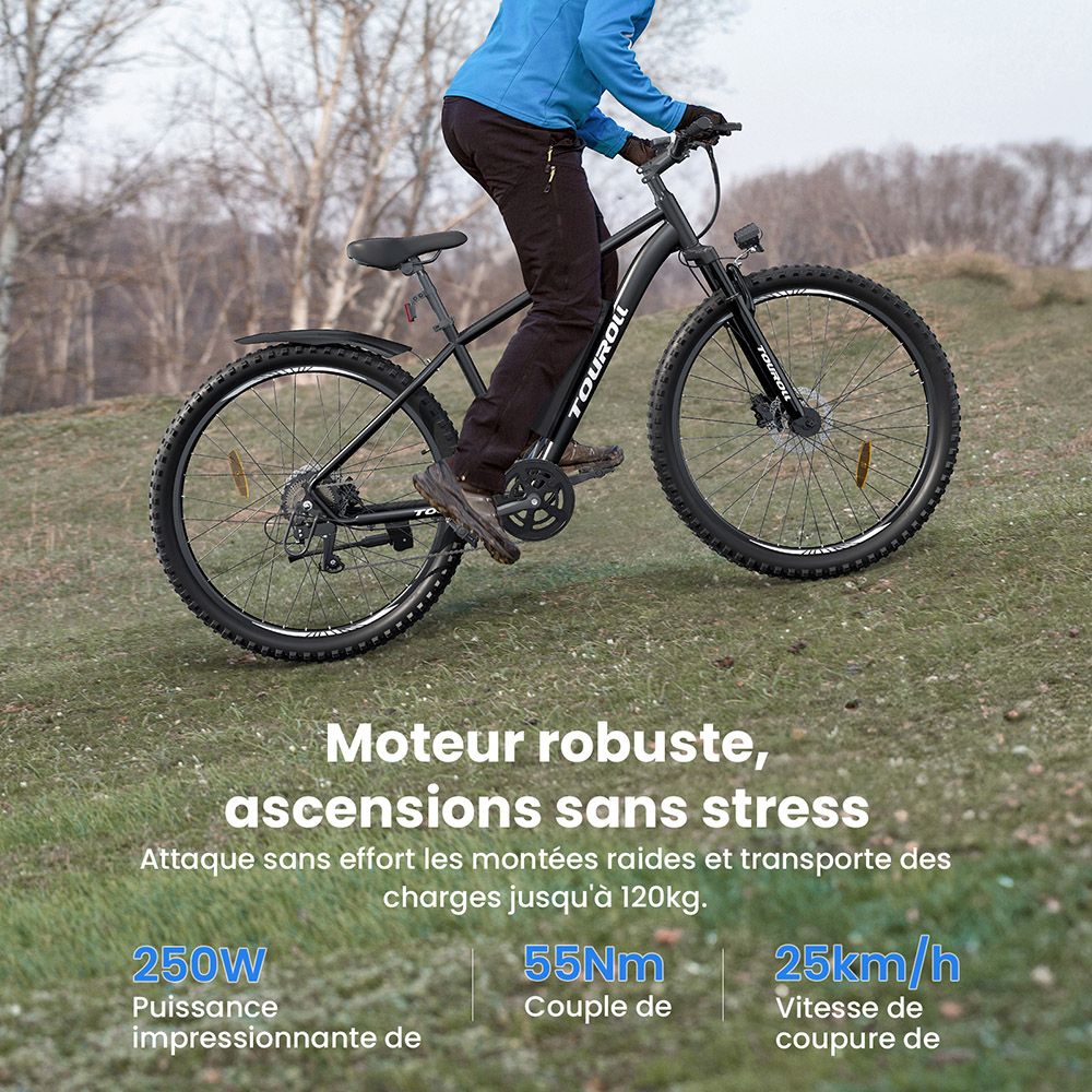 Touroll U2 V&eacute;lo &eacute;lectrique, moteur 250 W, batterie 48 V 15 Ah, pneus 29 pouces, vitesse maximale 25 km/h, autonomie 150 km, freins &agrave; disque hydrauliques, fourche &agrave; suspension, Shimano 7 vitesses