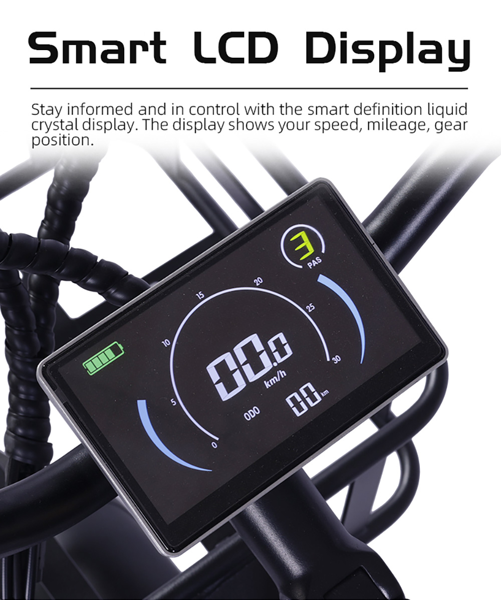 GOGOBEST GF200 Electric Bike, 500W Motor, 48V 15.6Ah Battery, 20*3.0 inch Tires, 45km/h Max Speed, 80km Max Range, Mechanical Disc Brakes, Shimano 7-speed, LCD Display - Green