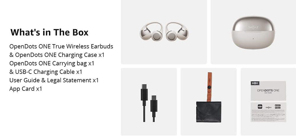 SHOKZ OpenDots ONE Open-ear Earbuds, Dolby Audio, IP54 Water Resistant, Up to 40 Hours Playtime, Multipoint Pairing - Grey