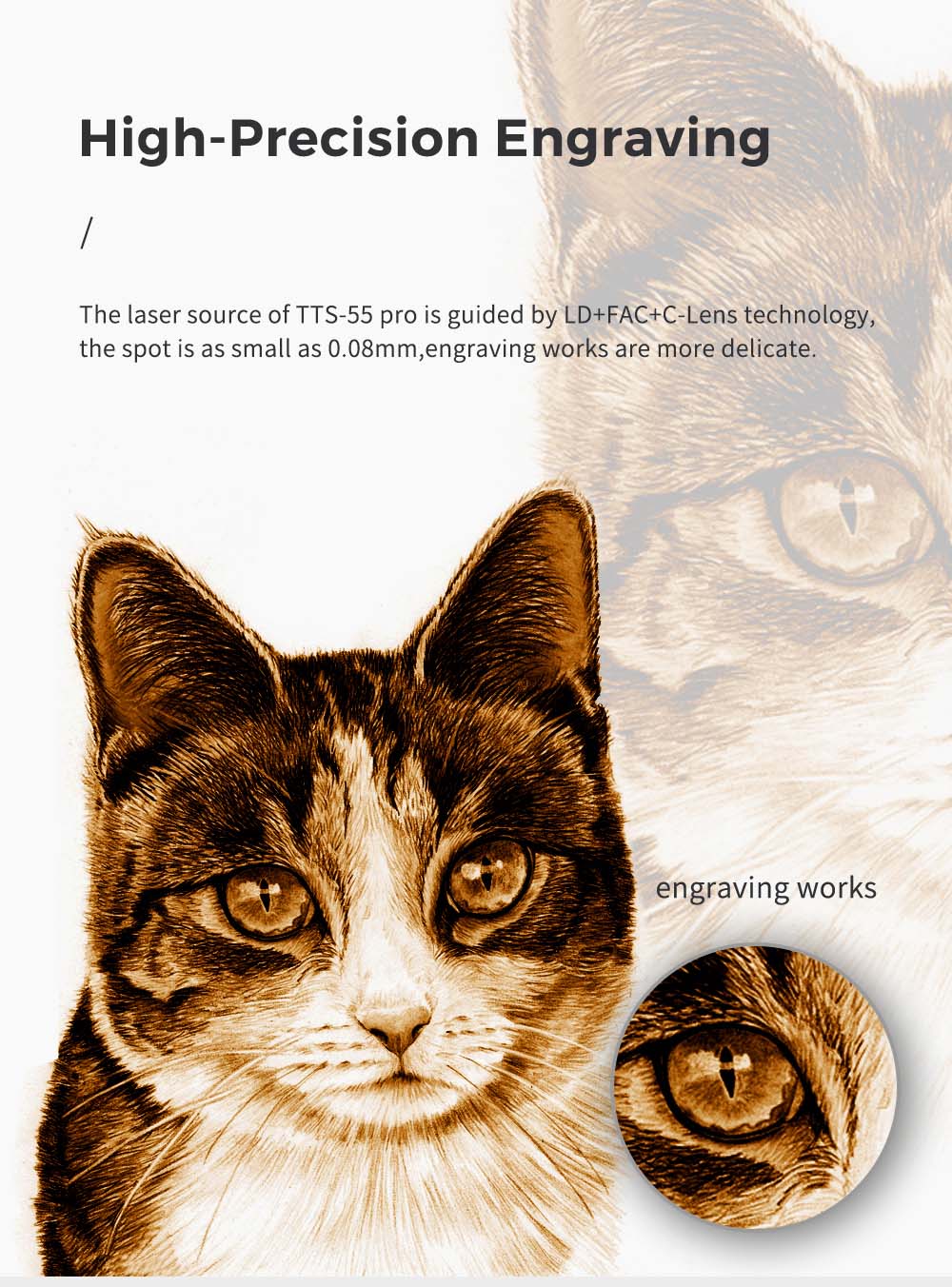 TWO TREES TTS-55 Pro Graveur Laser 5,5W, Carte mère 32 bits, Point compressé 0,08×0,08mm, Précision 0,1mm, 300*300mm