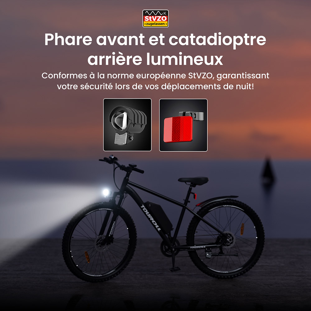 Touroll U2 V&eacute;lo &eacute;lectrique, moteur 250 W, batterie 48 V 15 Ah, pneus 29 pouces, vitesse maximale 25 km/h, autonomie 150 km, freins &agrave; disque hydrauliques, fourche &agrave; suspension, Shimano 7 vitesses