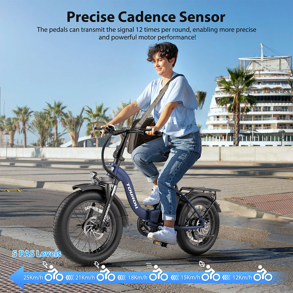 Touroll S2 Electric Bike, 650W Max Power, 48V 15Ah Battery, 20*4.0 inch Tire, 25km/h Max Speed, 150km Max Range, Mechanical Disc Brake & E-Brake, Mechanical Shock Absorber, Shimano 7-speed