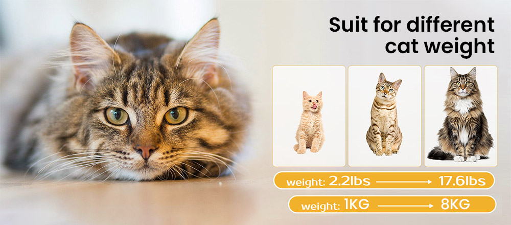 A2401 Smart Cat Litter Box, Large Capacity, Auto-clean