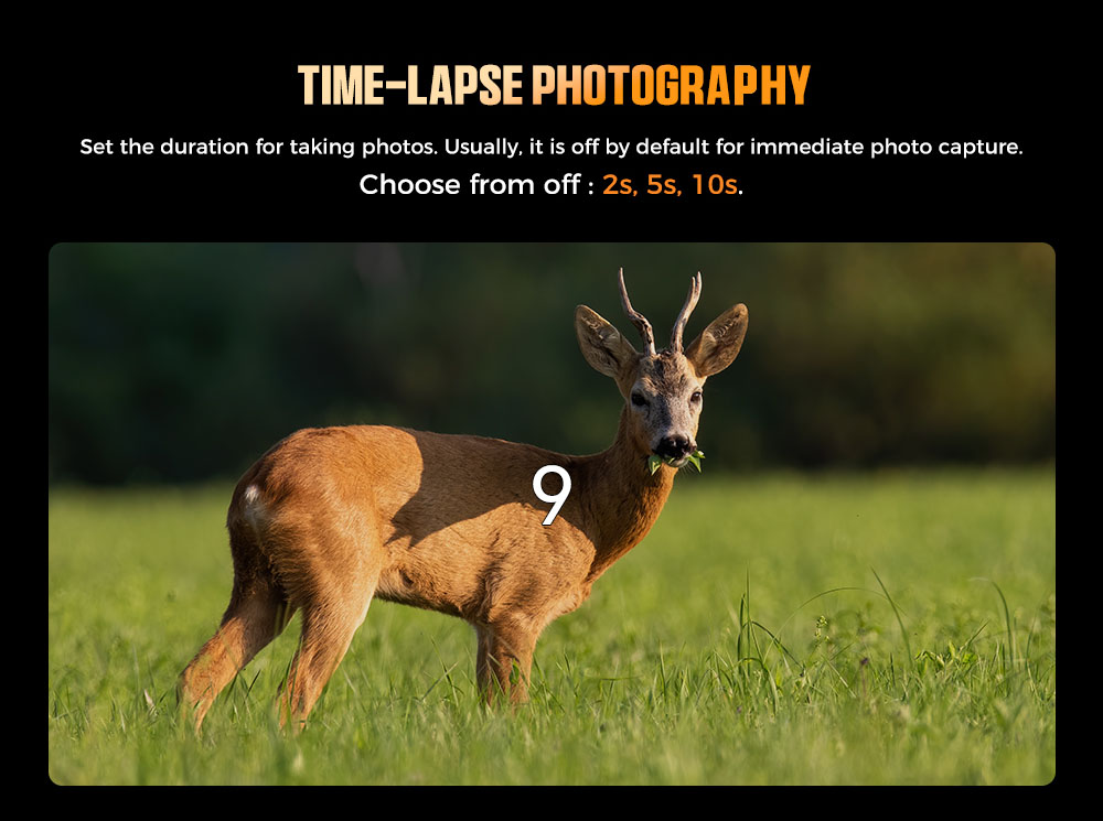 CIGMAN CNV01 Night Vision Binoculars, 3.99" Large Screen, Up to 18H 5000mAh Battery, f/1.0 Large Aperture, 32GB Memory Card, 5X Zoom, Flashlight, Compass