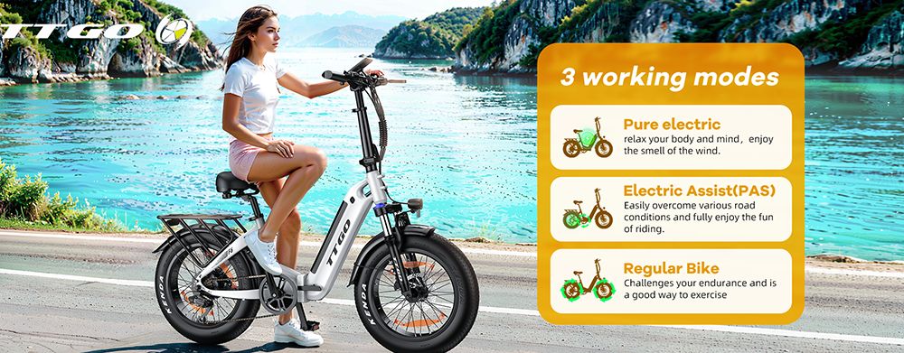 TTGO F6 elektromos ker&eacute;kp&aacute;r, 250 W-os motor, 36 V-os 25 Ah-s akkumul&aacute;tor, 20 x 4 h&uuml;velykes gumiabroncsok, 25 km/h maxim&aacute;lis sebess&eacute;g, 130 km-es hat&oacute;t&aacute;vols&aacute;g, hidraulikus t&aacute;rcsaf&eacute;k, első leng&eacute;scsillap&iacute;t&oacute;, nyomat&eacute;k&eacute;rz&eacute;kelő, Shimano 7 sebess&eacute;ges v&aacute;lt&oacute;, LCD kijelző - k&eacute;k