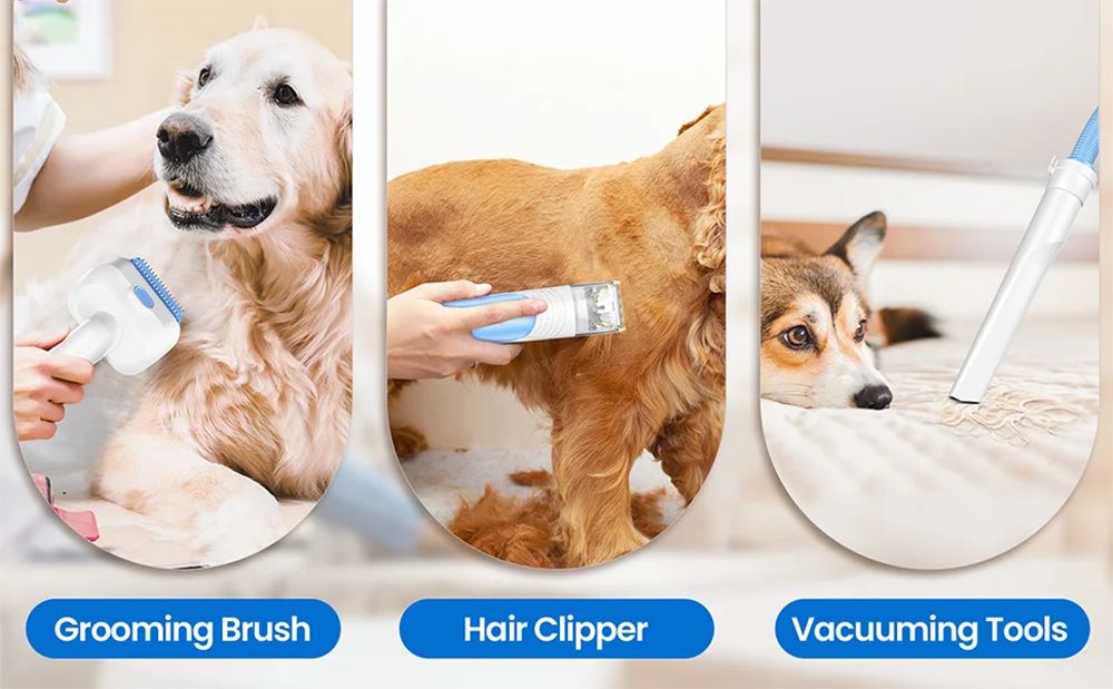 INSE P30 Pet Grooming Vacuum, so 4.5L veľkokapacitným zásobníkom na prach, veľmi nízka hlučnosť pre psy, mačky