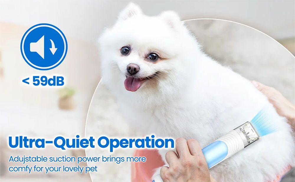 INSE P30 Pet Grooming Vacuum, so 4.5L veľkokapacitným zásobníkom na prach, veľmi nízka hlučnosť pre psy, mačky