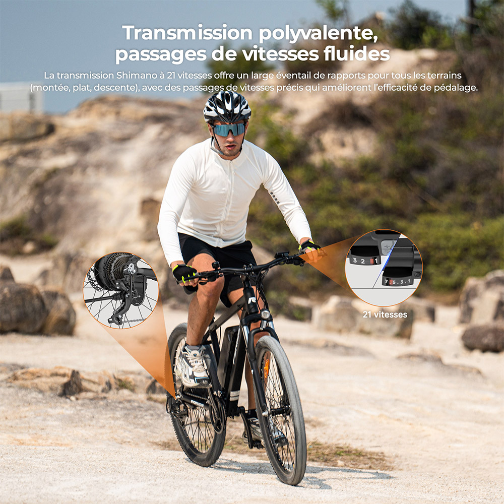 Foride Xtremer 1 Vélo électrique, moteur 250 W, batterie 36 V 13 Ah, pneus 29 pouces, vitesse maximale 25 km/h, autonomie maximale 100 km, freins à disque et freins à main, suspension avec blocage, transmission Shimano 21 vitesses